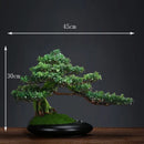 Artificial Simulation of Fake Flowers, Potted Gardens, Balcony Decoration, Bonsai Hotel Garden, Small Flower Pot Decoration