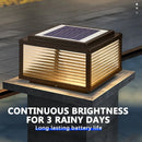 Decorative solar outdoor LED lamp with remote control, four colours