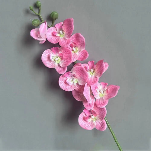 Phalaenopsis artificial plants 3d real touch decorative orchid - vue 5 sur 10