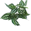 Artificial Grass Green Begonia Plants For Home Decoration,Plantas Artificiales Para Decoracion Fake Plastic Plants for Bonsai
