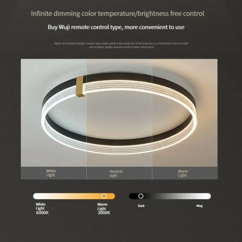 plafonnier led moderne minimaliste avec télécommande ronde - vue 7 sur 14
