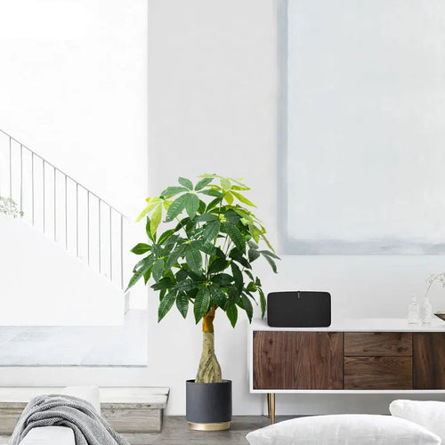plantes artificielles grandes faux arbre monstera décoration verte intérieure extérieur - vue 5 sur 7