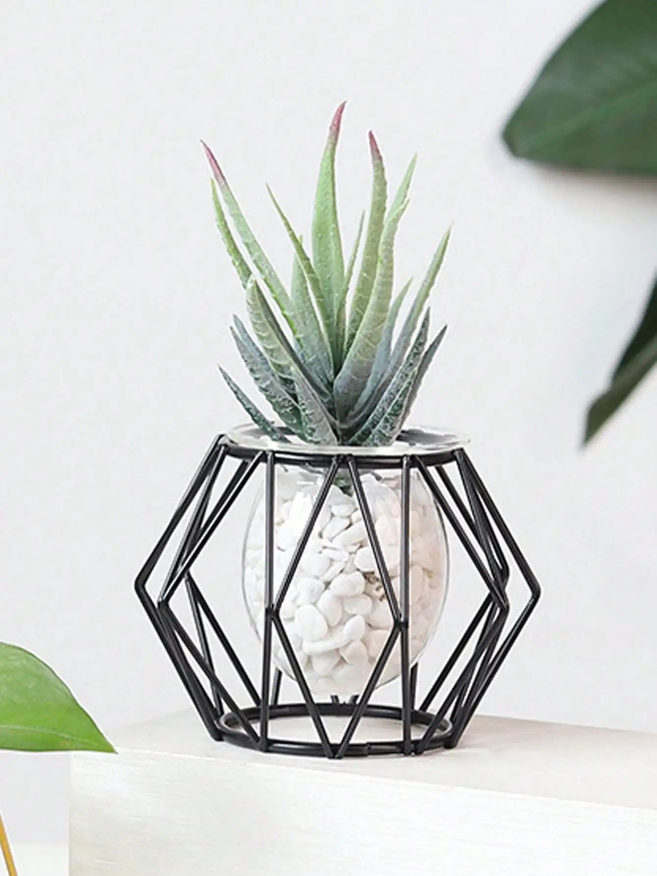 arrangement de fleurs transparent pour décoration intérieure avec plantes d'eau - vue 2 sur 6