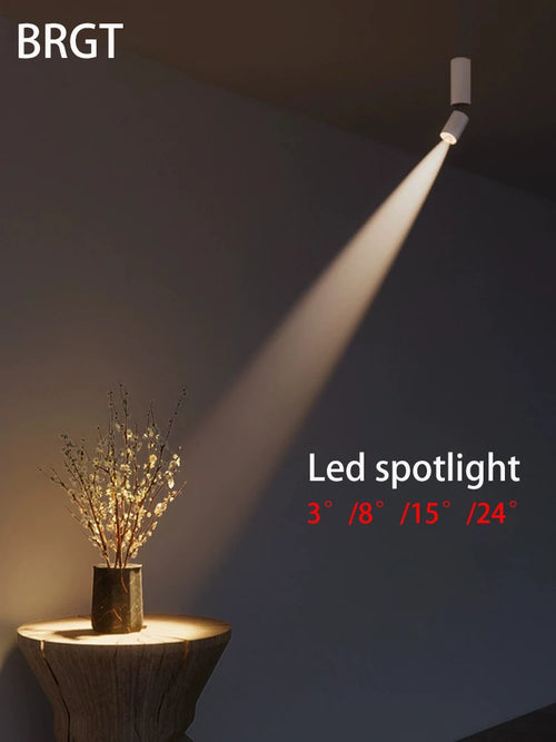 Adjustable angle LED spotlight for optimal ambient lighting - vue 3 sur 19