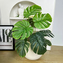 Realistic artificial monstera plant for interior decoration