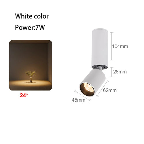 Adjustable angle LED spotlight for optimal ambient lighting - vue 16 sur 19