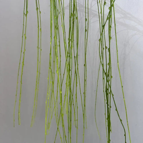 plantes artificielles saule pleureur en plastique pour décoration intérieure