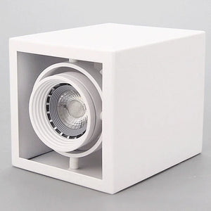 Dimmable waterproof LED ceiling light for outdoor and indoor use