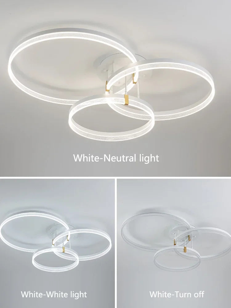 High-end creative minimalist nordic LED ceiling light - vue 4 sur 24