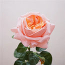 branche de rose artificielle pour un cadeau romantique et décoratif