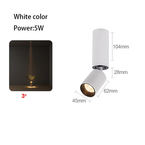 Adjustable angle LED spotlight for optimal ambient lighting - vue 14 sur 19