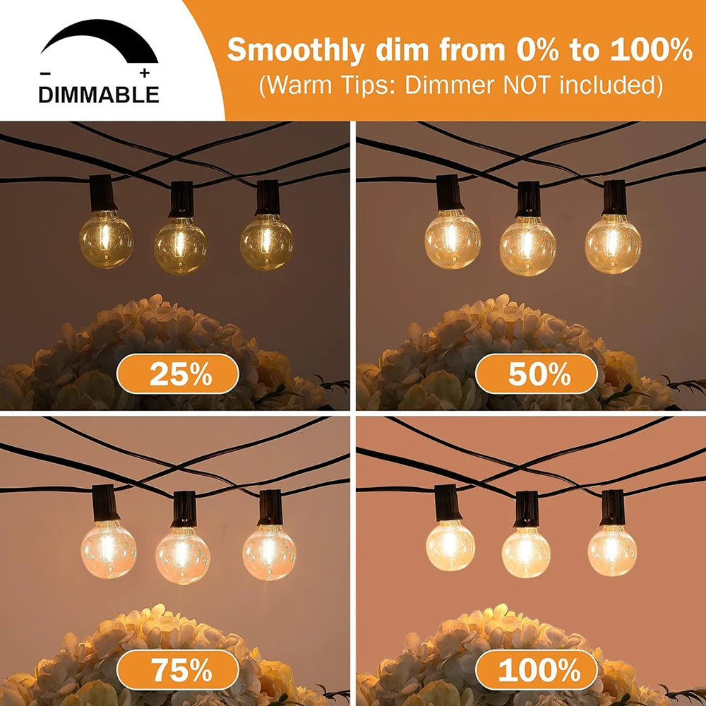 guirlande lumineuse extérieure led ampoules globe décoratives pour jardin terrasse - vue 5 sur 11