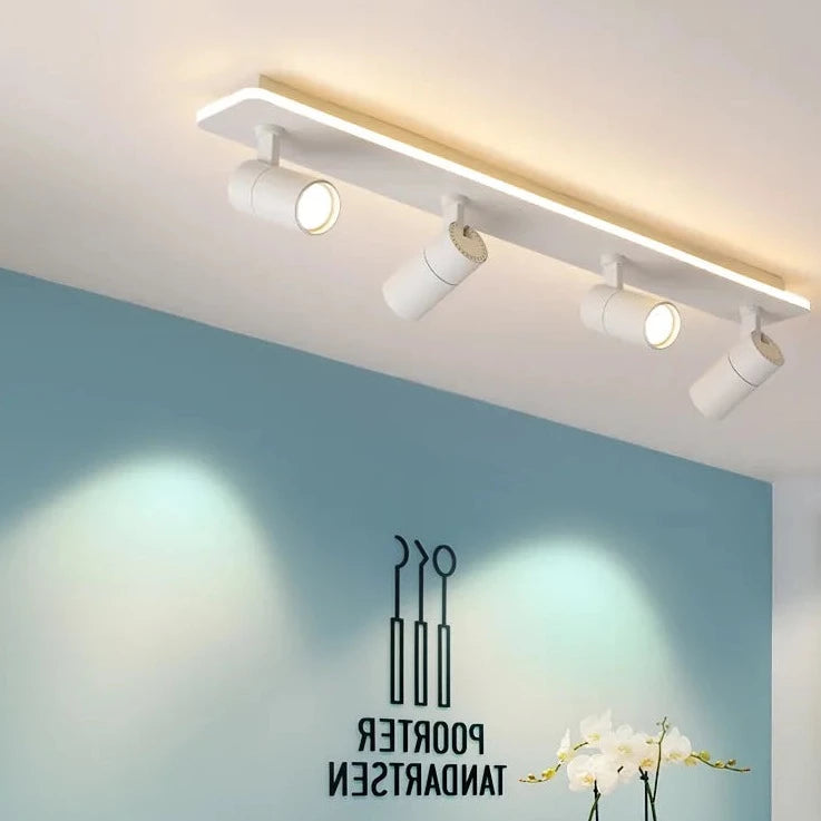 Plafonnier LED noir moderne projecteur