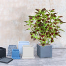 plante artificielle eucalyptus tropical pour décoration intérieure