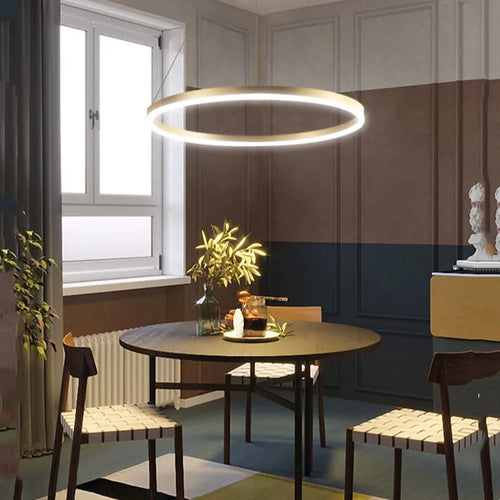 Minimalist Nordic round ring LED pendant lamps - vue 3 sur 9