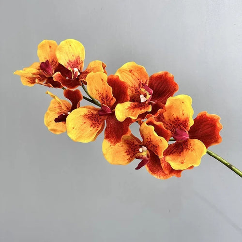lot de 2 orchidées artificielles vanda pour décoration intérieure - vue 11 sur 12