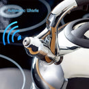 Bouilloire sifflet acier inoxydable grande capacité 3l