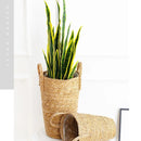 Grass Woven Flower Basket Planter, Plants Weaving Basket, Vase for Home Decor, Seagrass Flowerpot, Bride Dried Flowers Wine