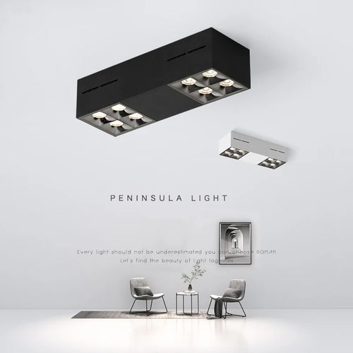 projecteurs led 	montés en surface avec gradation intelligente