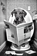 décoration murale humoristique animaux sur les toilettes