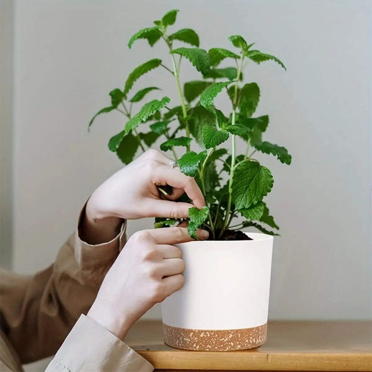 lot de 4 pots de fleurs ronds avec fond amovible et respirant - vue 4 sur 11