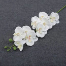 Phalaenopsis artificial plants 3d real touch decorative orchid