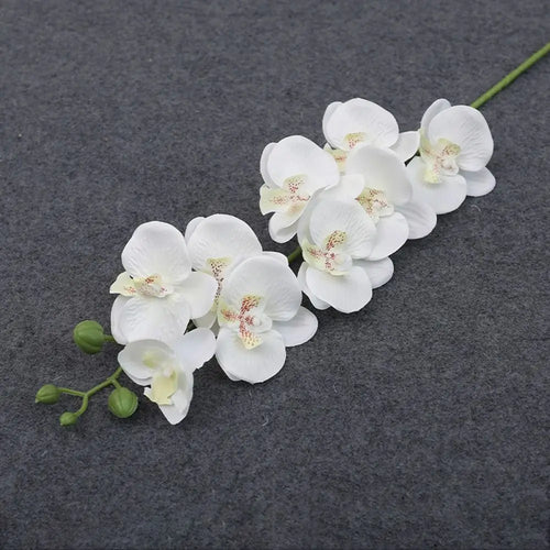 Phalaenopsis artificial plants 3d real touch decorative orchid - vue 7 sur 10