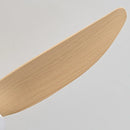 plafonnier moderne ventilateur de plafond télécommande lumière nordique variable