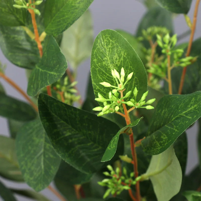 feuilles d eucalyptus décoratives avec fruits pour intérieur - vue 3 sur 7