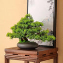 DIY Potted Bonsai for Home Decoration, False Tree, Living Room, Chinese Style, Hotel Porch Landscape, Green Plant Decoration