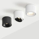 Ultra-bright adjustable angle COB LED spotlight for indoor lighting