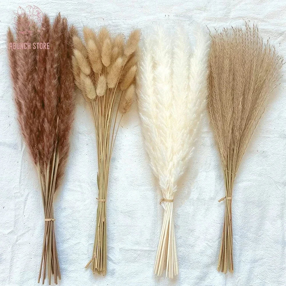 lot de 100 bouquets dherbe de pampa pour décoration bohème mariage - vue 3 sur 13