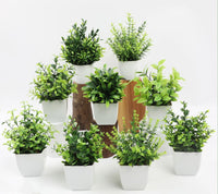 plantes artificielles en pot eucalyptus et romarin décoratifs