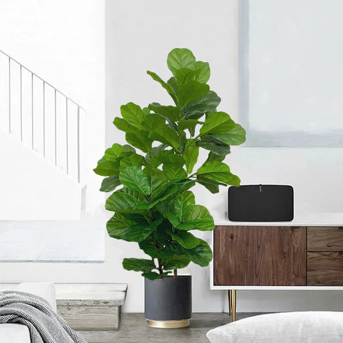 arbre tropical artificiel ficus pour décoration intérieure et extérieure