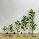 Realistic artificial ficus for indoor and outdoor decoration