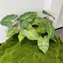 plantes artificielles feuillage de palmier décoration florale pour commerces