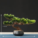 faux arbre bonsaï décoratif pour salon et aménagement paysager