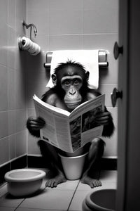 décoration murale humoristique avec animaux sur toilettes