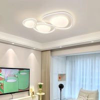 Modern minimalist LED ceiling light decorative indoor