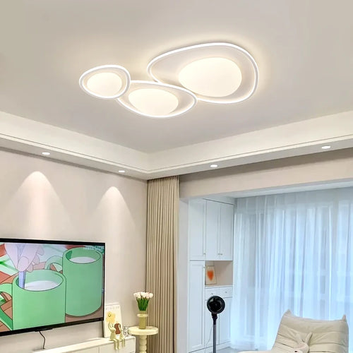 Modern minimalist LED ceiling light decorative indoor