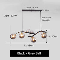 lustre en fer avec oiseau et boule de verre suspendue