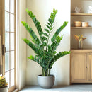 Artificial tropical money tree realistic decorative plastic plant
