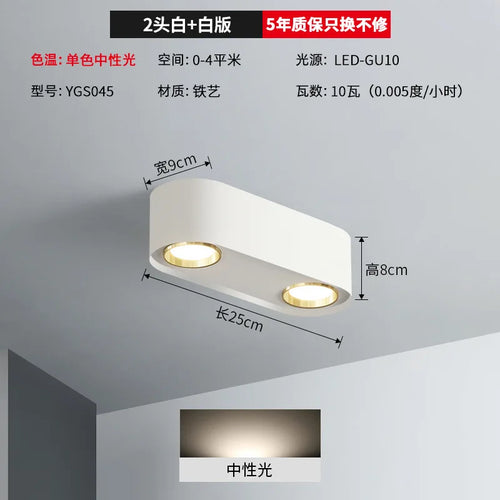 plafonnier double tête pour éclairage intérieur et extérieur - vue 10 sur 13