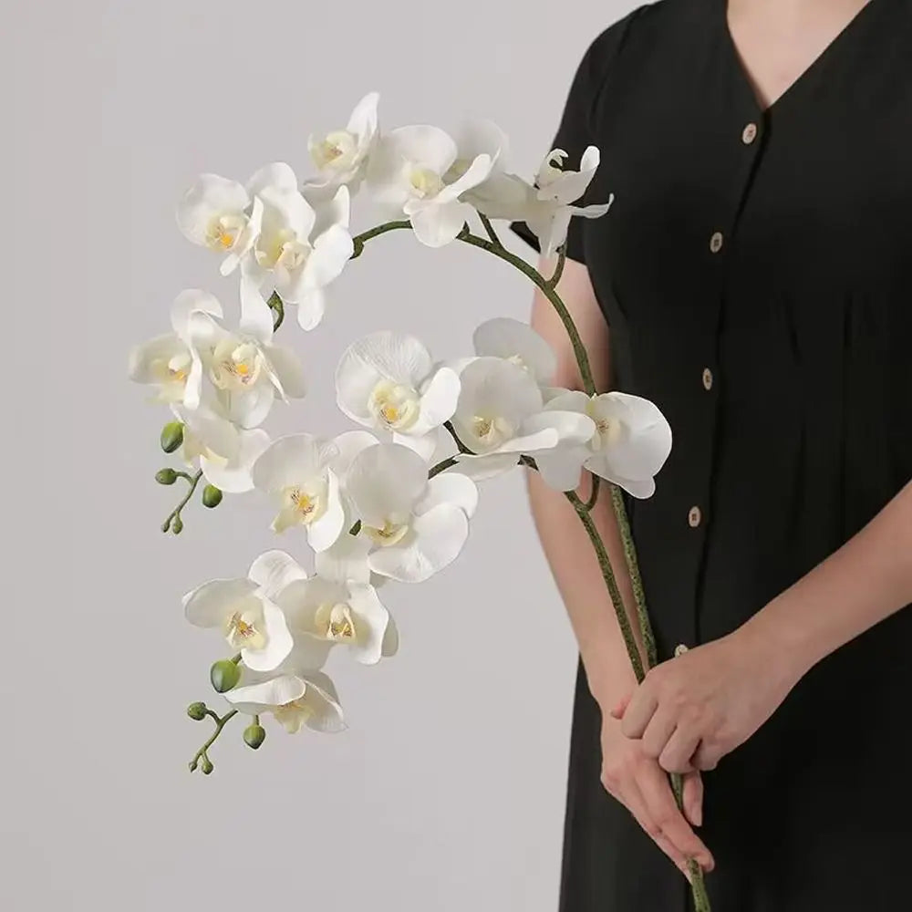 plantes artificielles phalaenopsis 3d toucher réaliste orchidée décorative