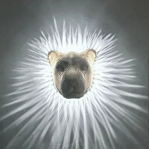 applique murale led hibou aigle décoration créative pour la maison - vue 14 sur 13