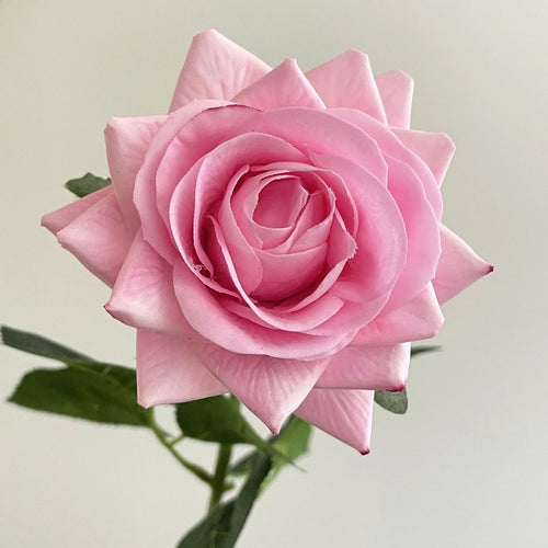 lot de 5 fleurs artificielles hydratantes pour mariage et saint-valentin - vue 15 sur 15