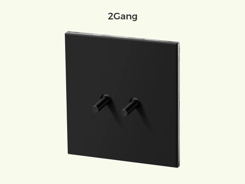 Interrupteur double 2 voies en acier noir mat