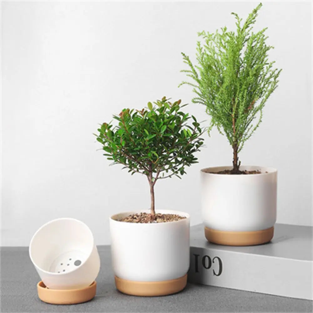 pot de fleurs automatique double couche pour plantes succulentes - vue 4 sur 8