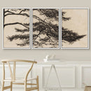 Vintage rustic pine branch triptych canvas wall art