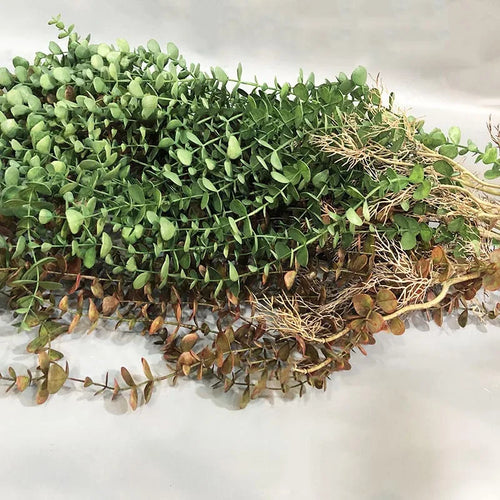plantes artificielles en rotin pour décoration intérieure et extérieure - vue 7 sur 8